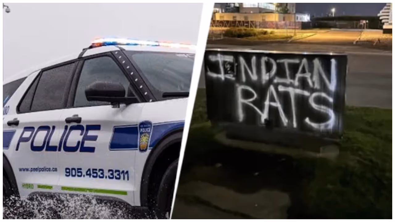 Indian rats Indian rats