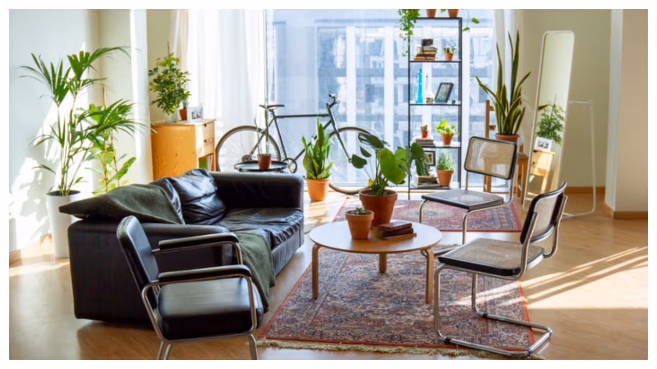 home decor home decor