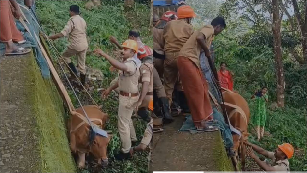 fire force fire force