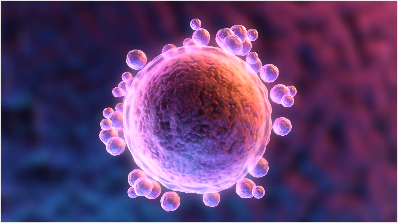 creating eggs from skin cells
