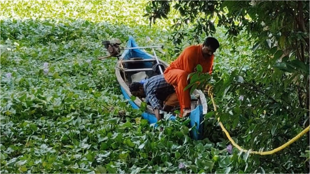  workers rescued from Vembanad lake
