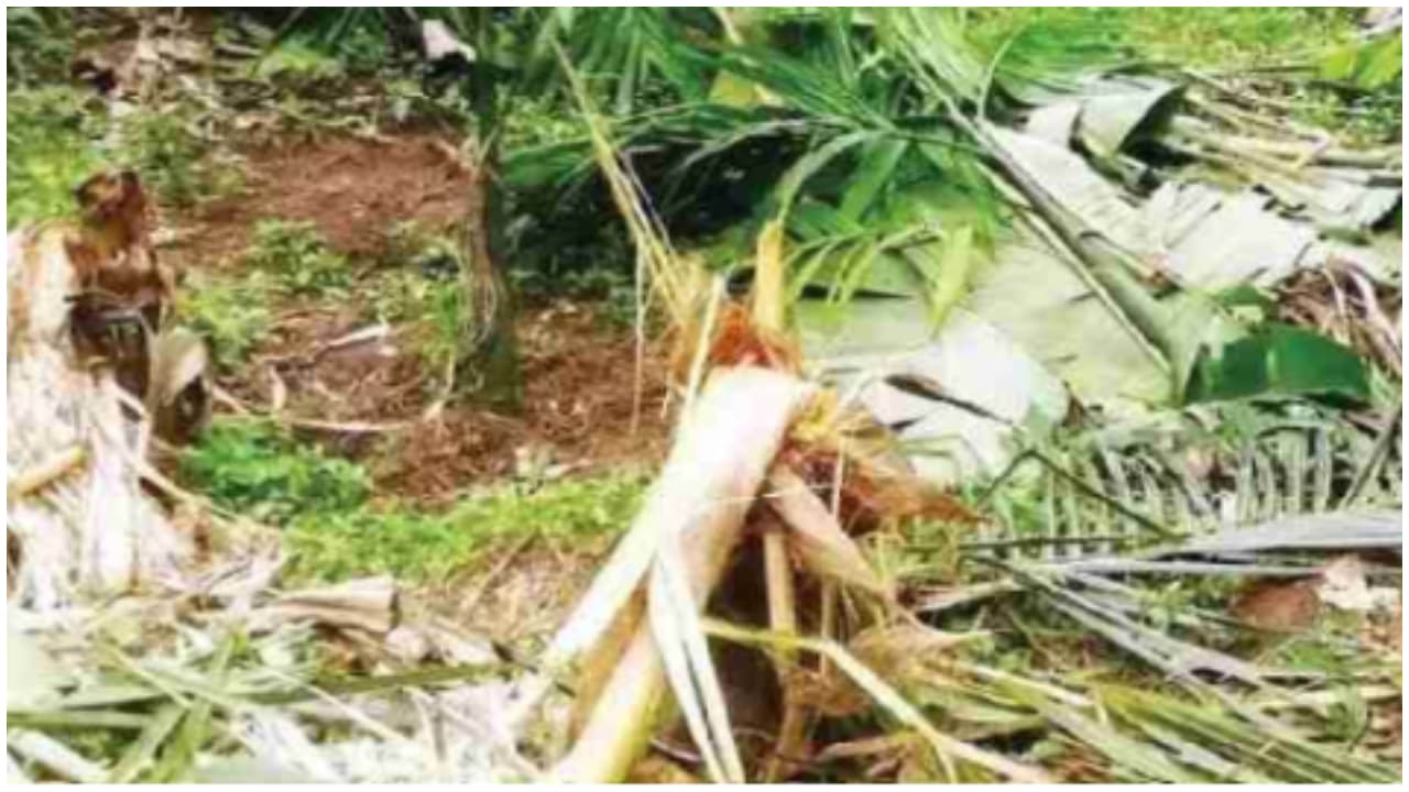  wild elephant attack in Thrissur