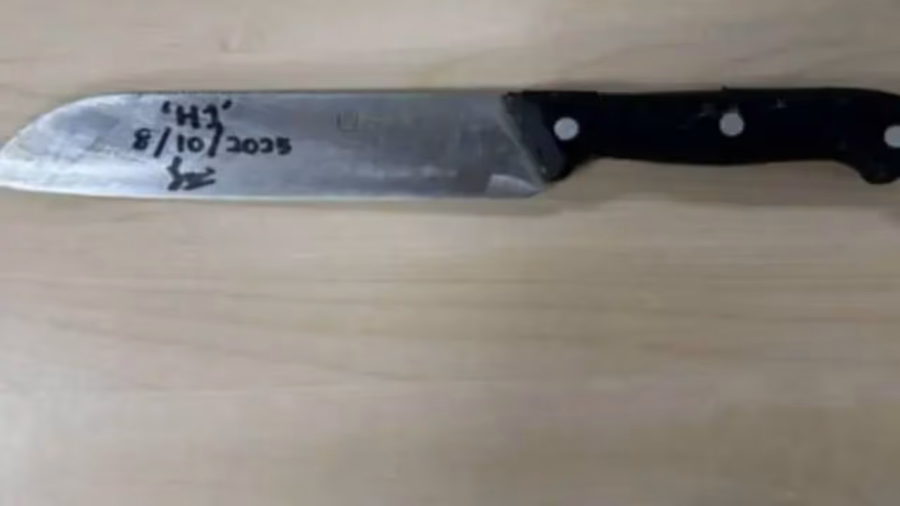 woman cuts off lovers privates parts