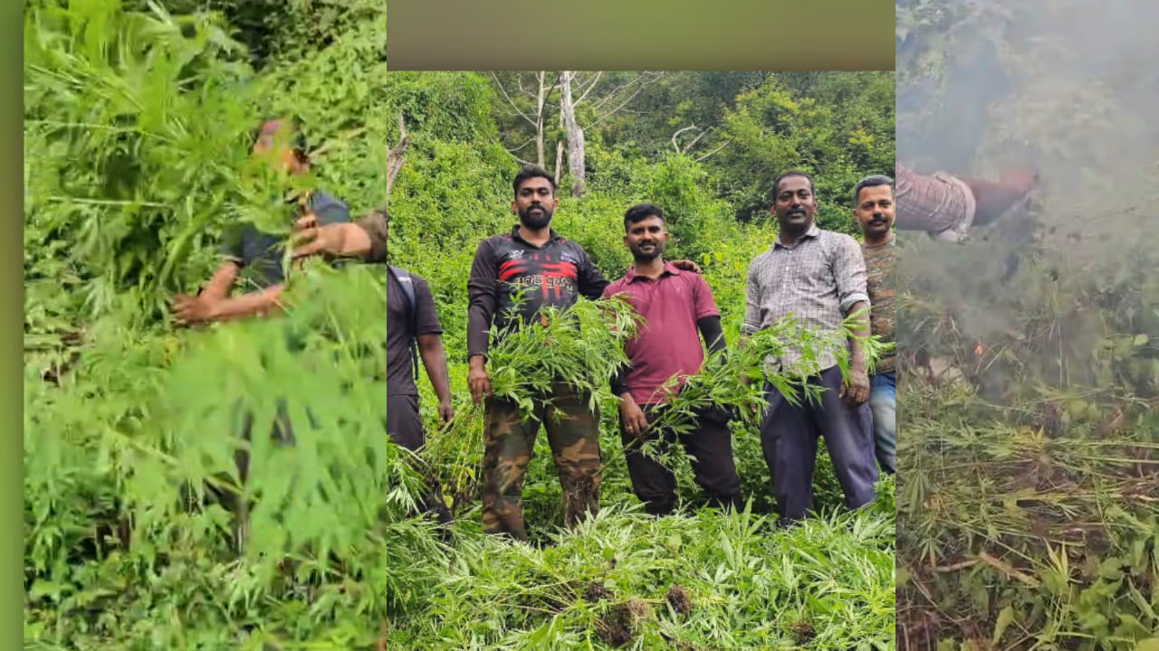 Kanjav in palakkad Kanjav in palakkad