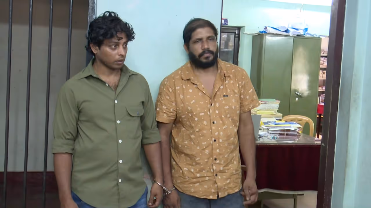 mdma arrest mdma arrest