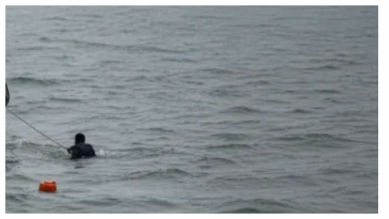 representative image representative image