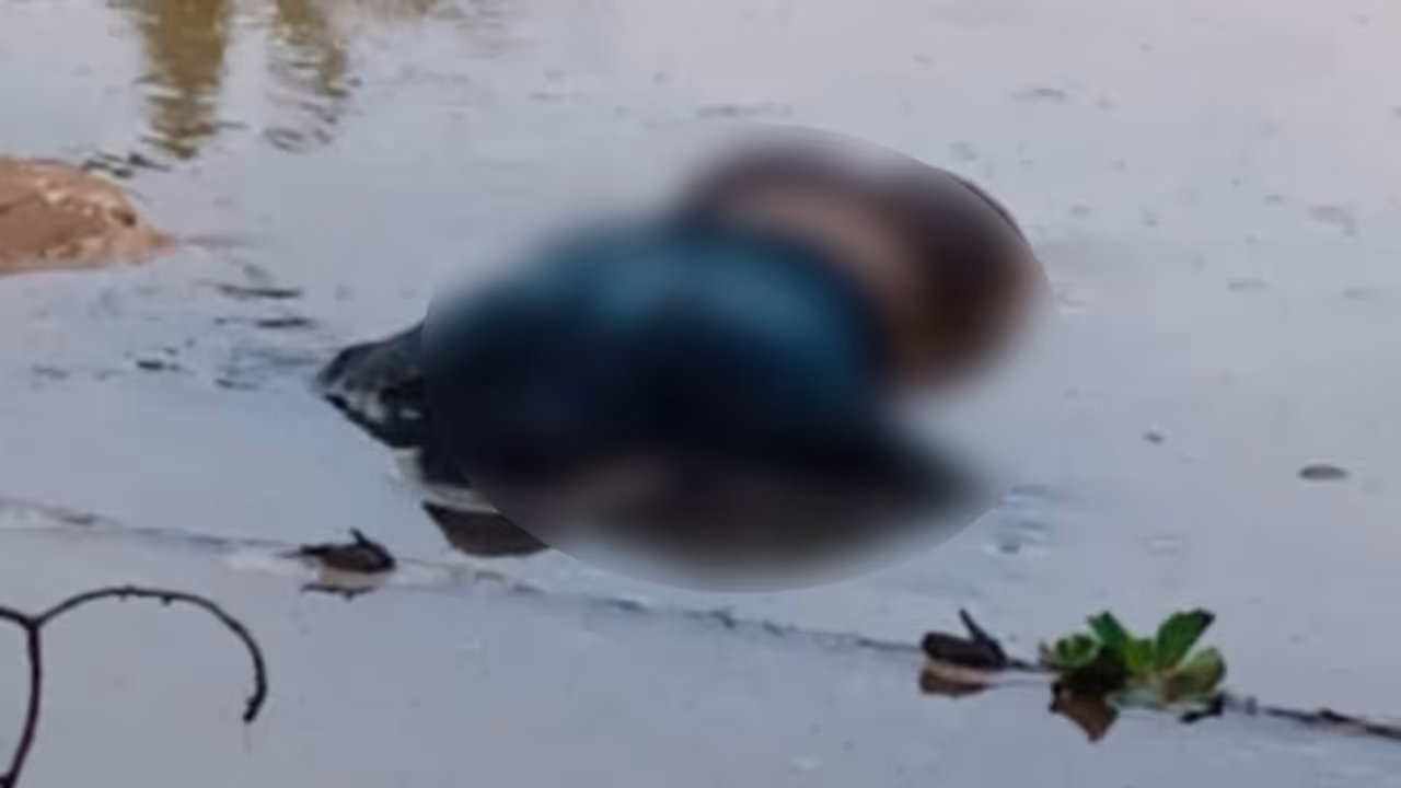 dead body in karamana river 