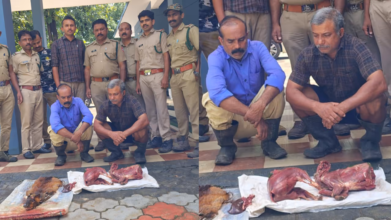 brothers arrested for dear hunting brothers arrested for dear hunting