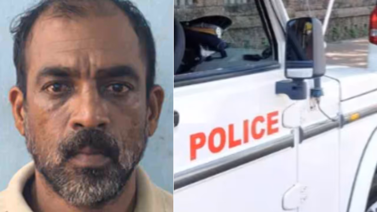 Dani Ayoob Dani Ayoob