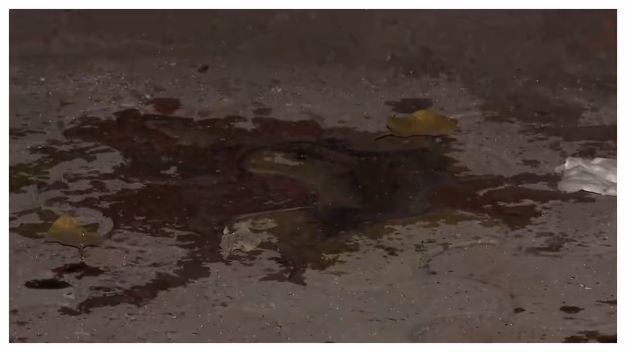 delhi acid attack delhi acid attack