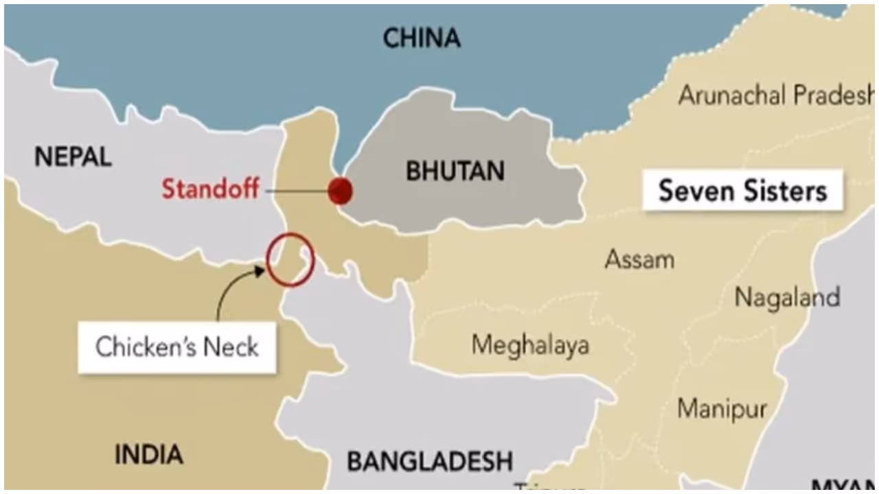 Chicken neck Chicken neck