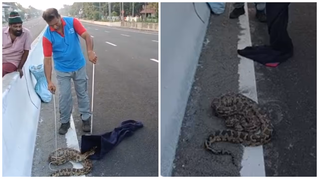 SNAKE NATIONAL HIGHWAY