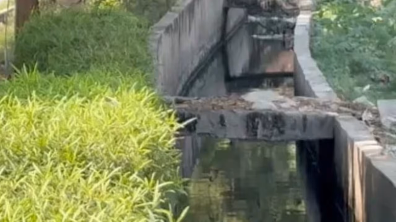 Dead Body in drain Dead Body in drain