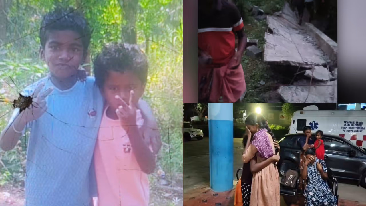 Attapadi children death Attapadi children death