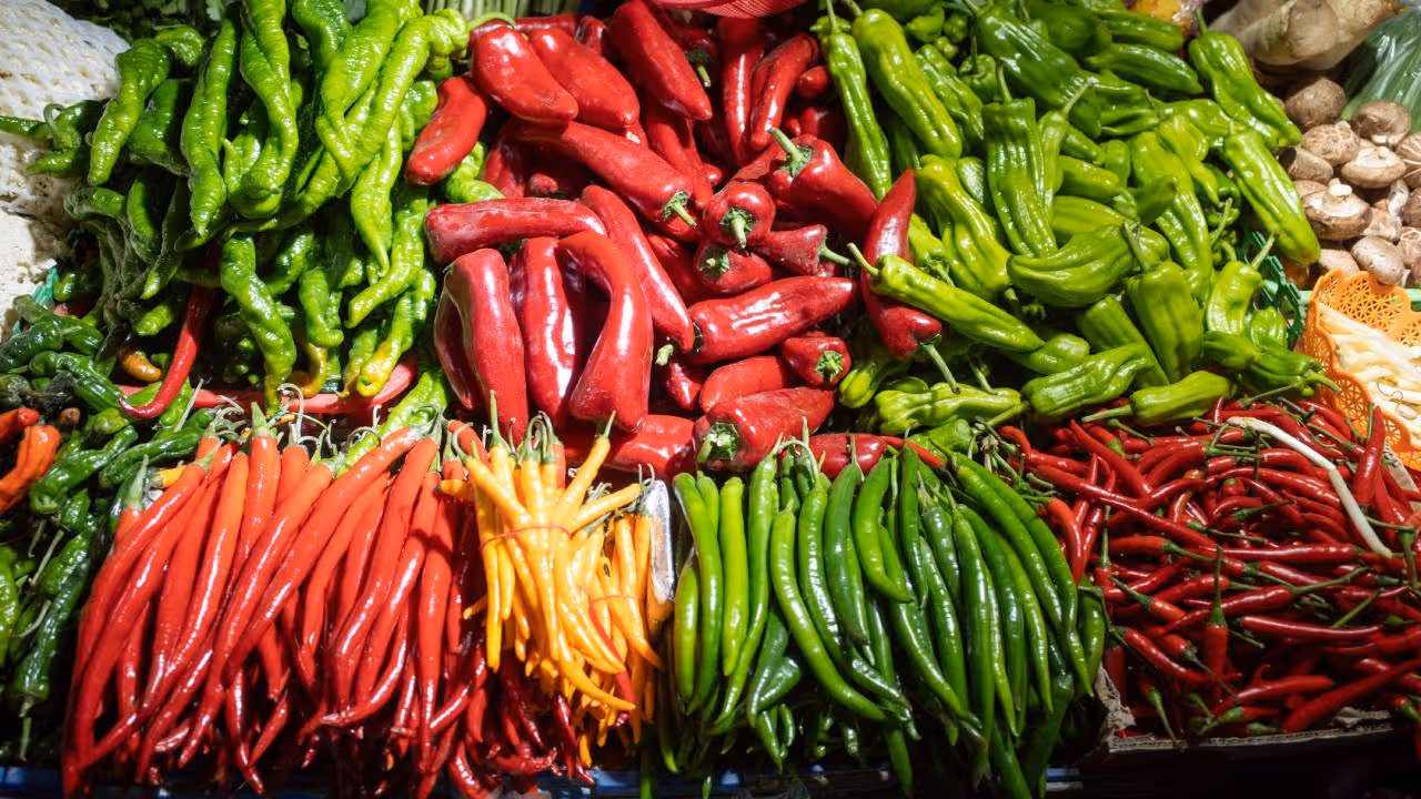 chilli peppers chilli peppers