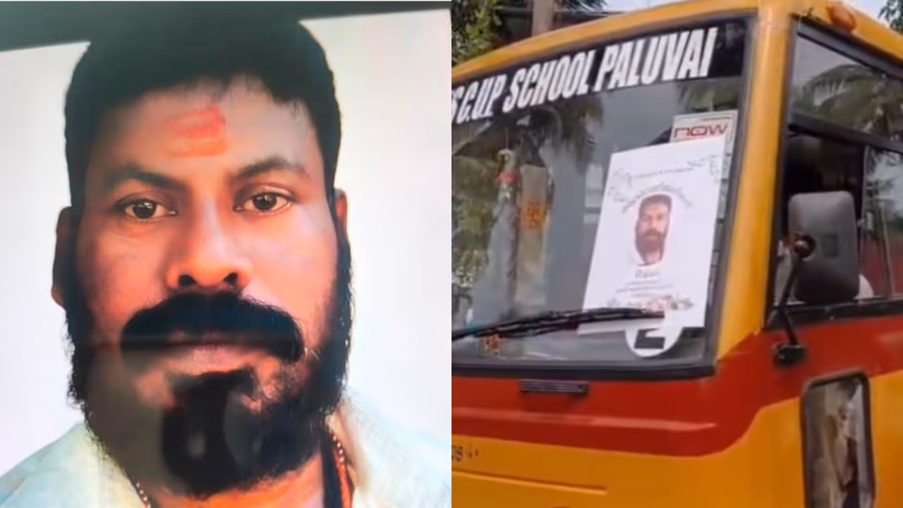 school bus driver school bus driver