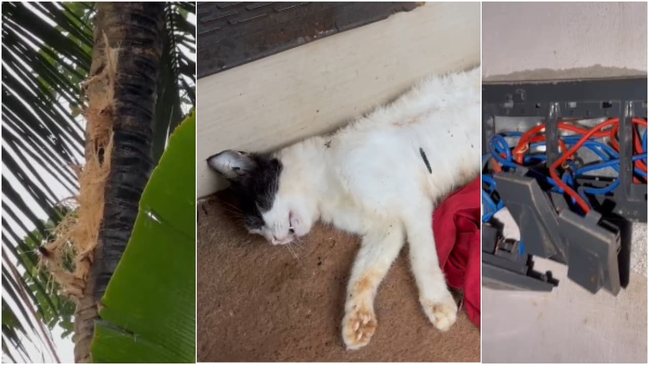 kozhikode rain kozhikode rain