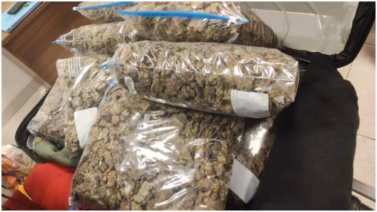  Chennai airport drug seizure