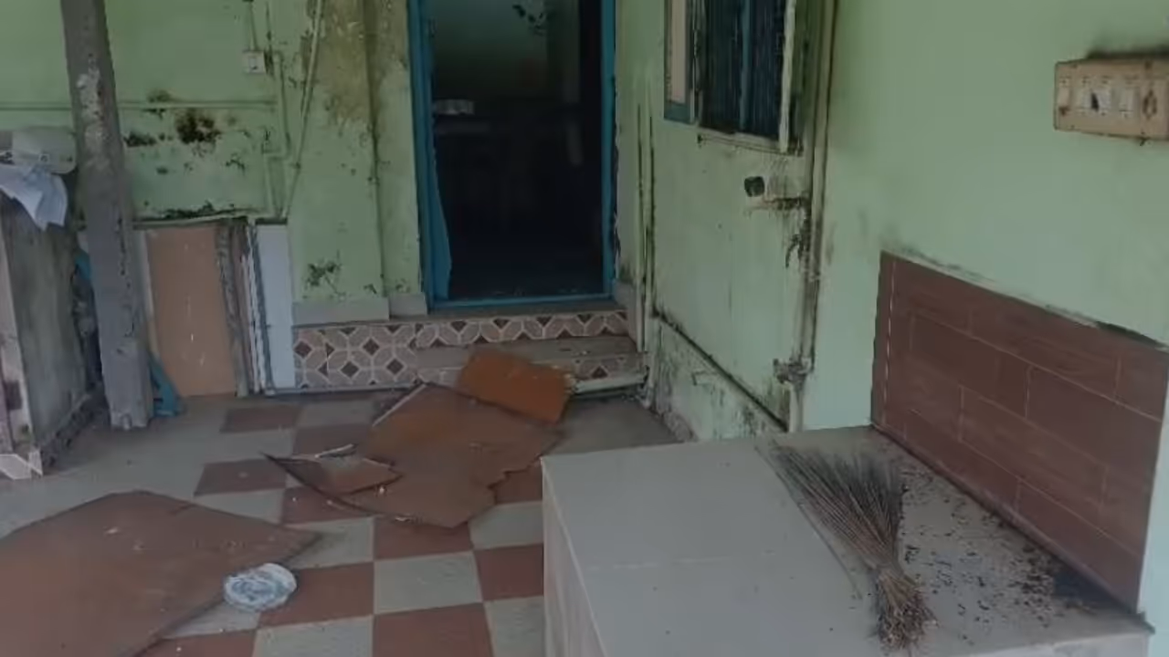 wild elephant attack wild elephant attack