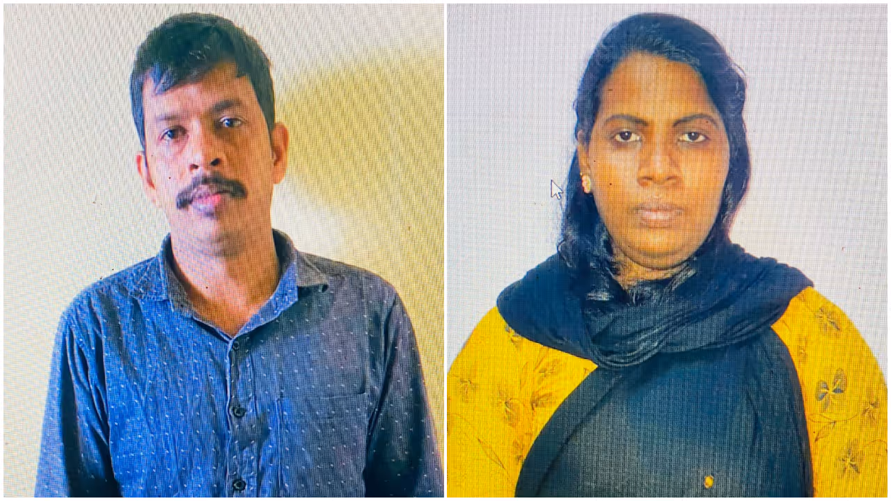 ganja case ganja case