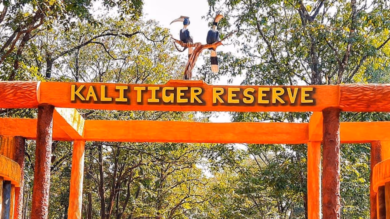 Kali Tiger Reserve