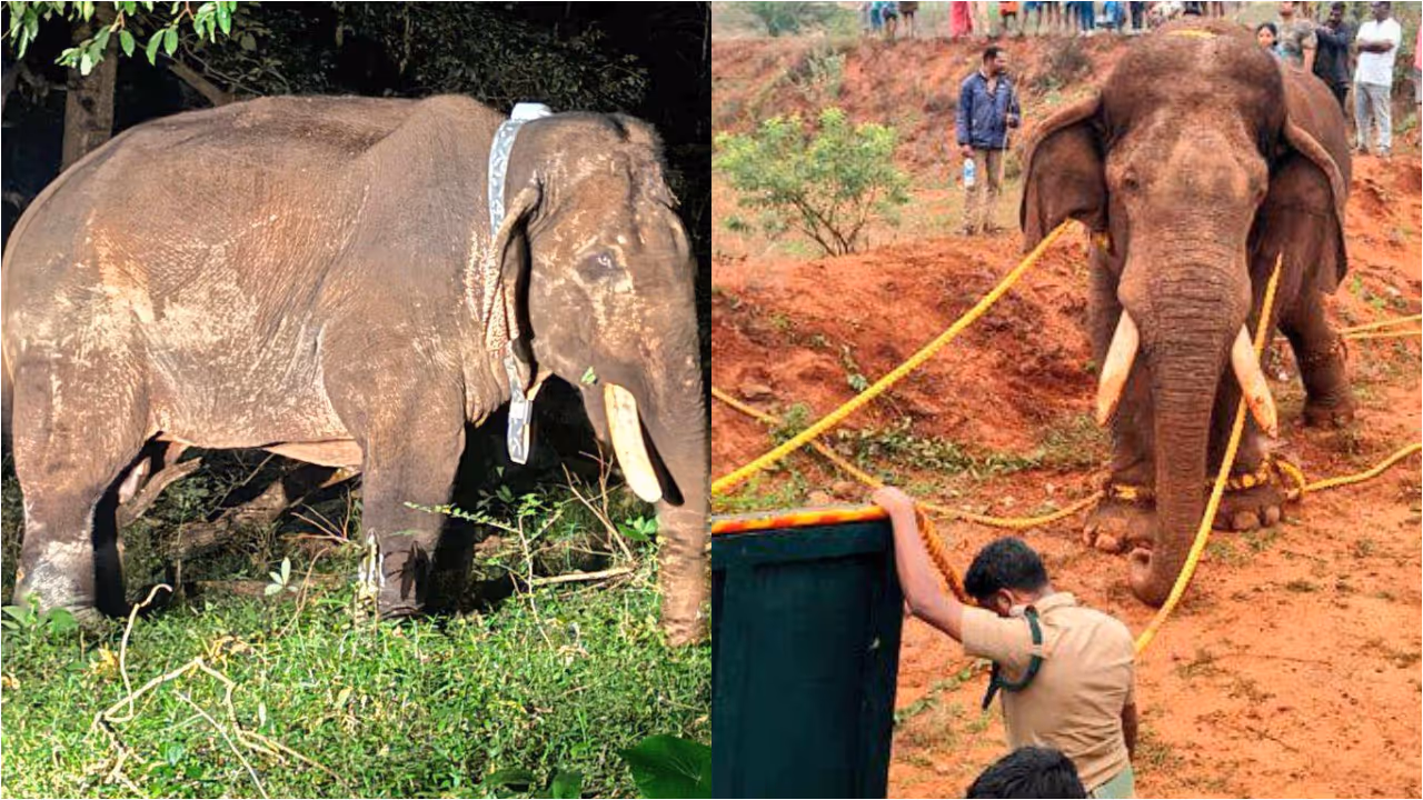 rolex death rolex death