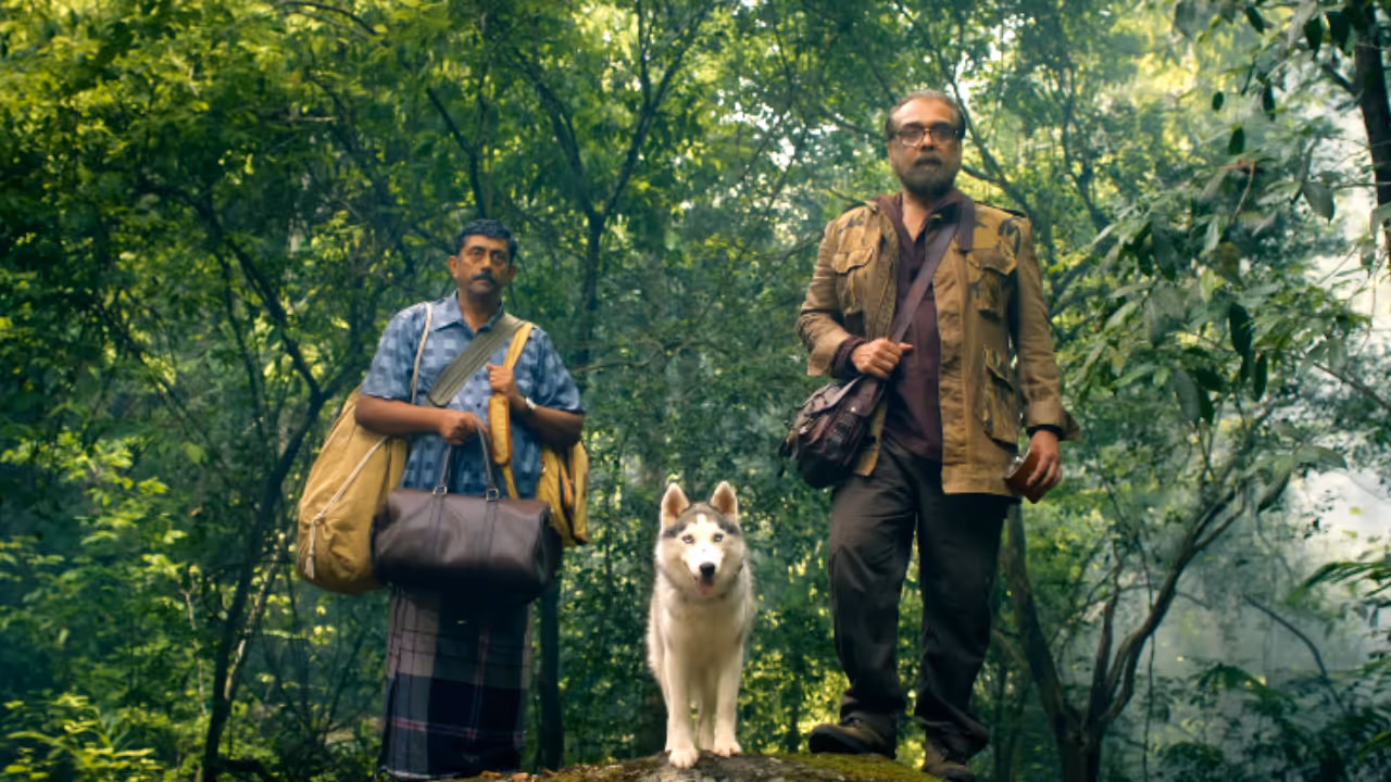 eko malayalam movie 6 days box office sandeep pradeep bahul ramesh dinjith eko malayalam movie 6 days box office sandeep pradeep bahul ramesh dinjith