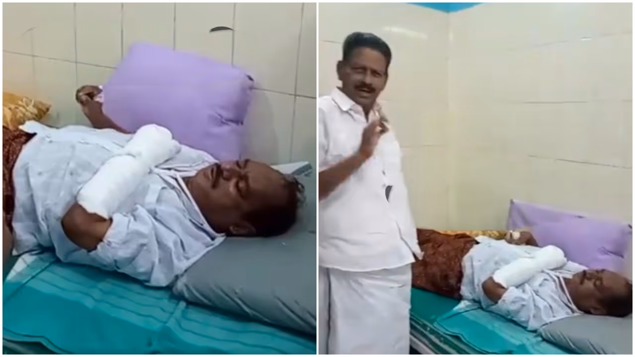 stray dog causes car accident stray dog causes car accident