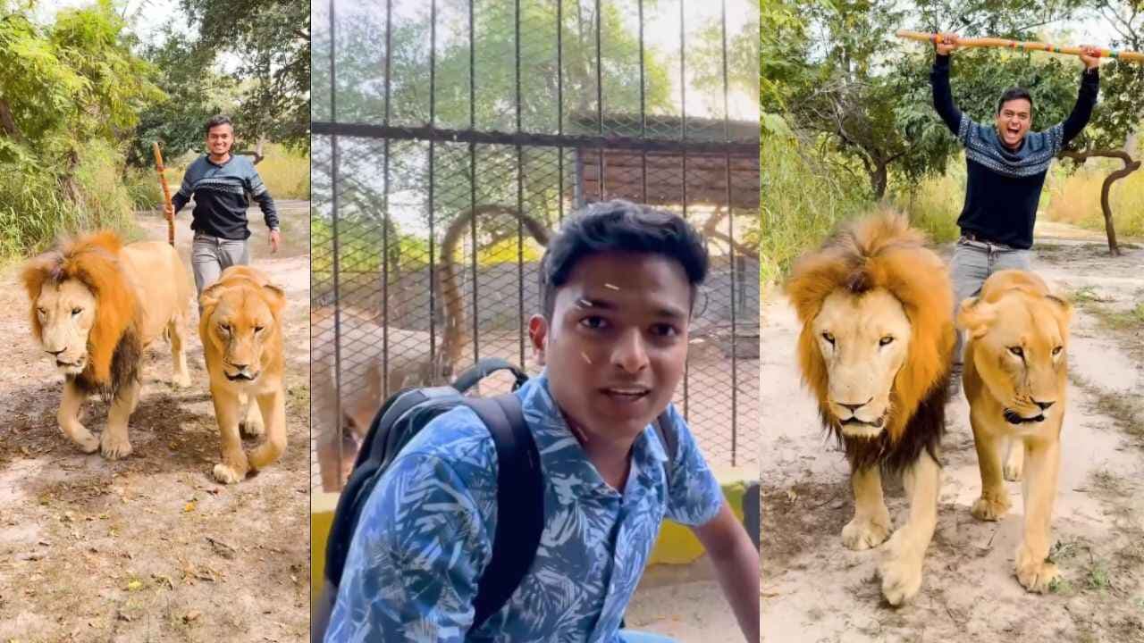 Dr. Bro Takes Revenge on Lion