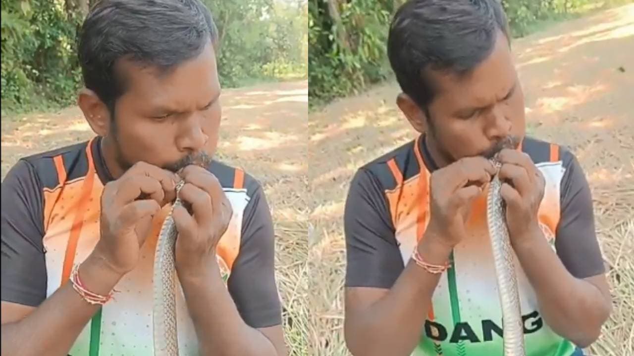 Man saves electrocuted snake's life Man saves electrocuted snake's life