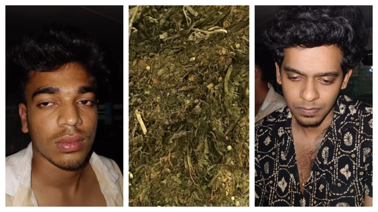 dyfi ganja arrest dyfi ganja arrest