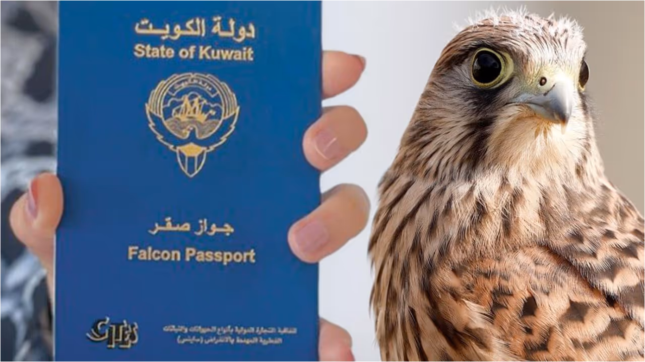falcon passport falcon passport