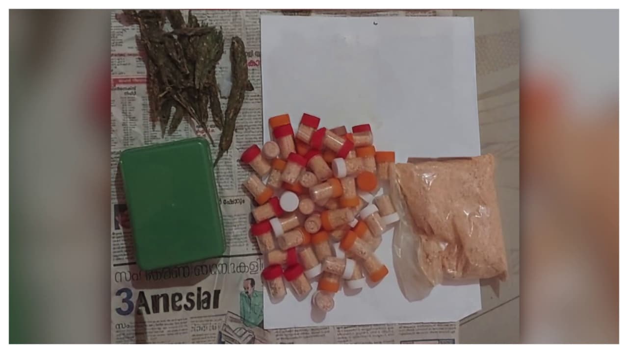 drugs seized drugs seized