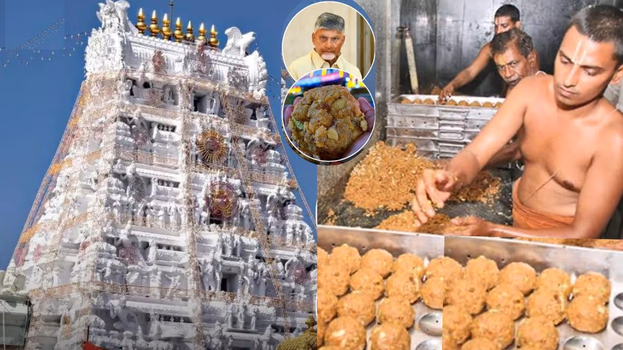 Tirupati Laddu Toilet Clean Chemical Mix Tirupati Laddu Toilet Clean Chemical Mix