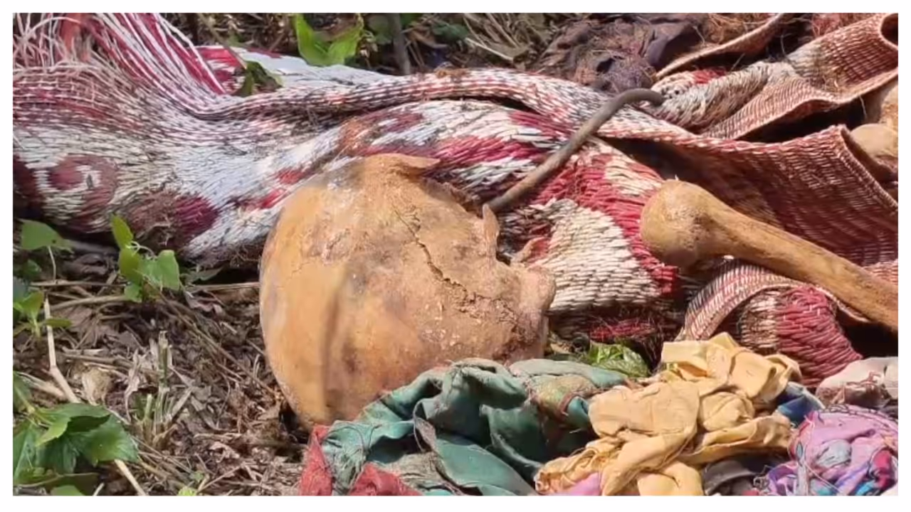 found skeleton found skeleton