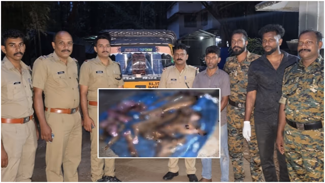 deer hunter arrested deer hunter arrested