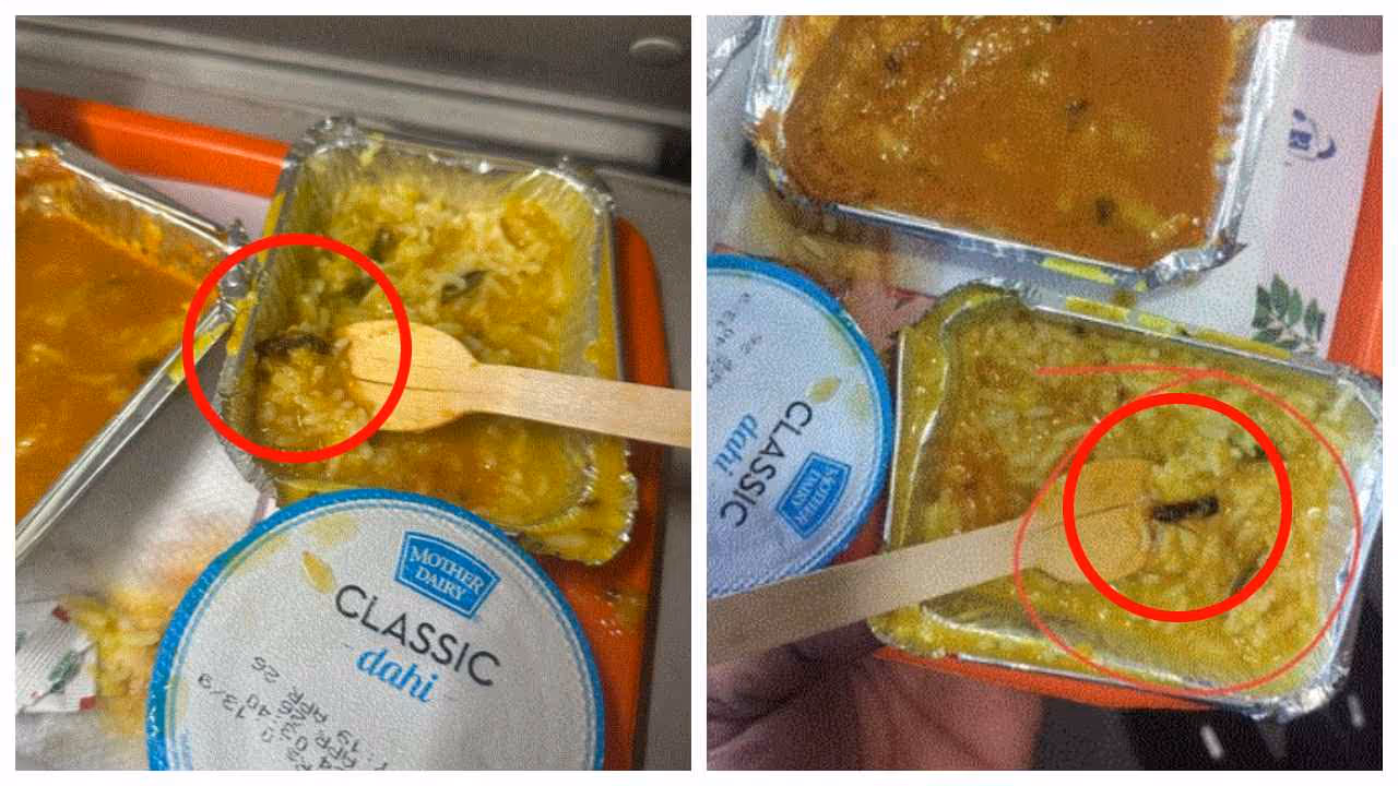 insect in Vande Bharat Express food insect in Vande Bharat Express food