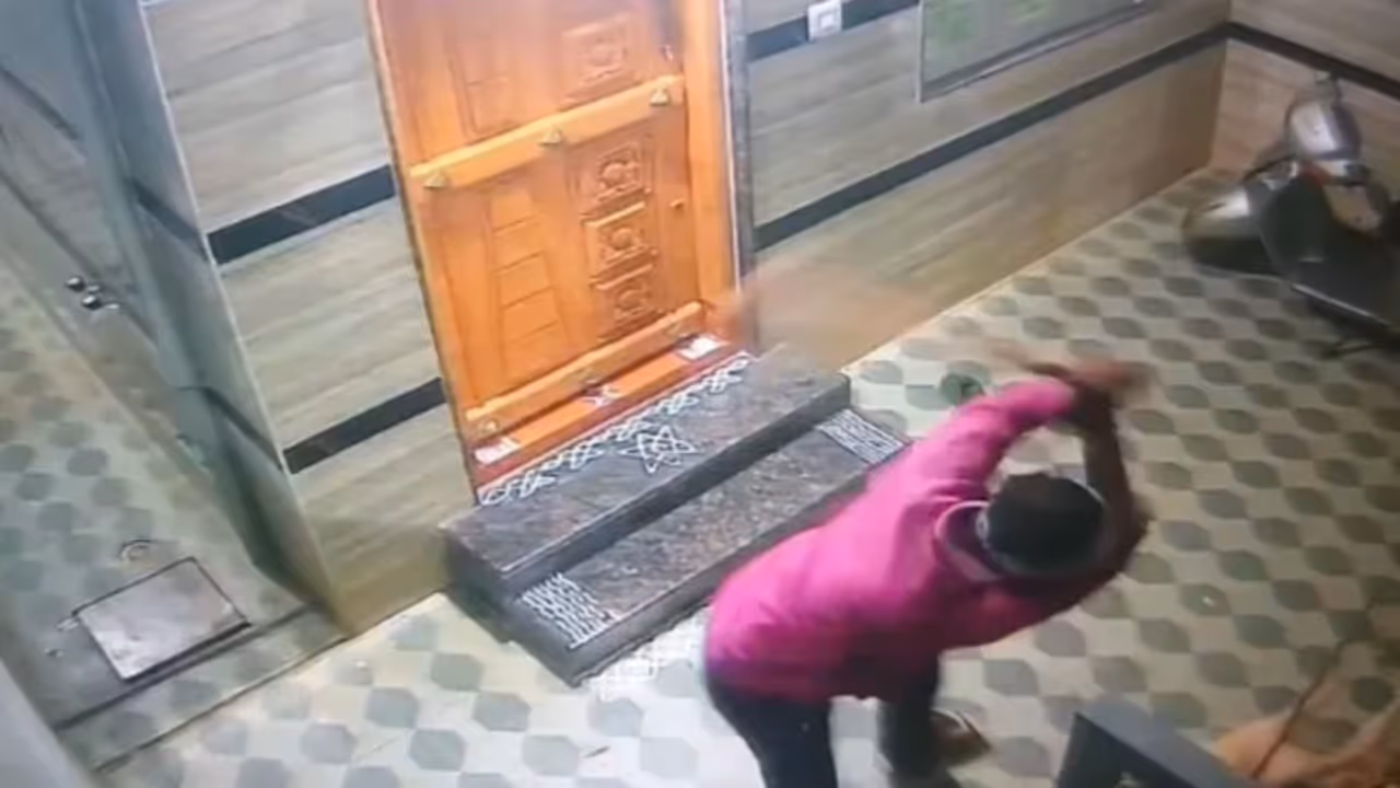 man thrashes neighbours dog man thrashes neighbours dog