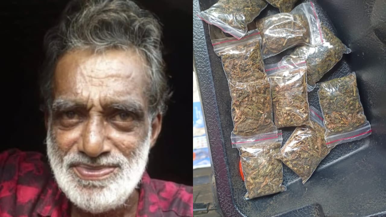 ganja seized in kochi ganja seized in kochi