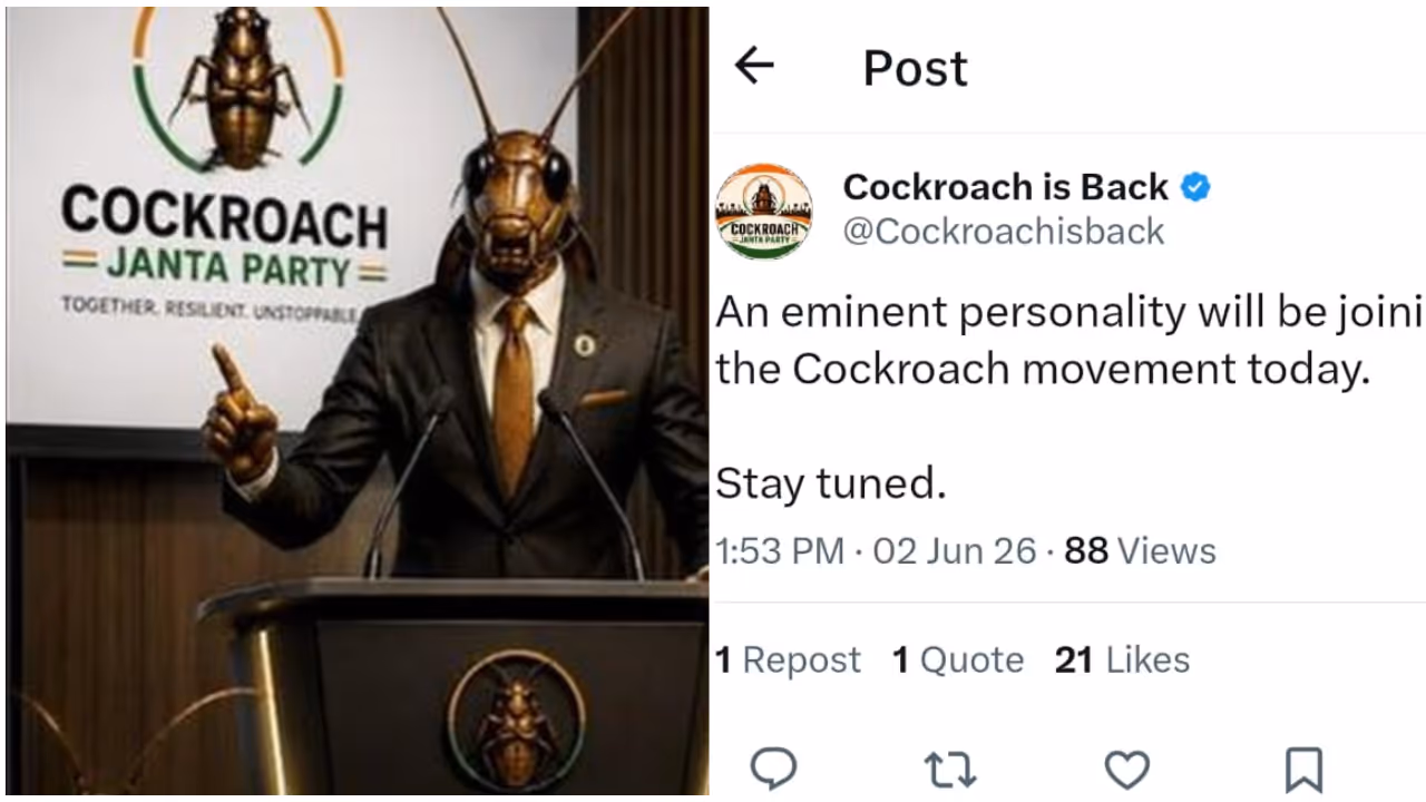 cjp cjp