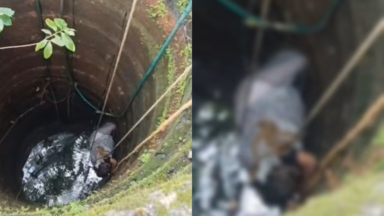 woman died after fell into deep well woman died after fell into deep well