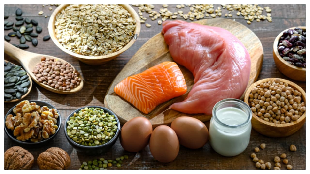 protein food protein food