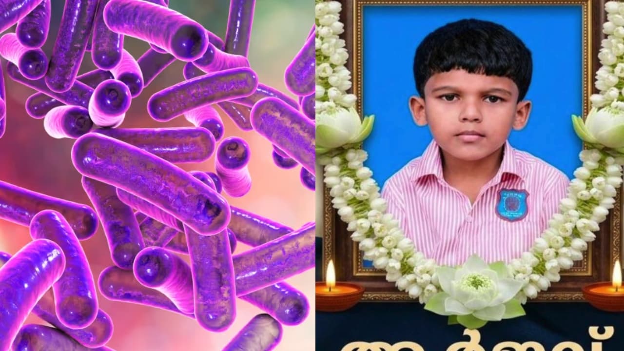Shigella death Shigella death
