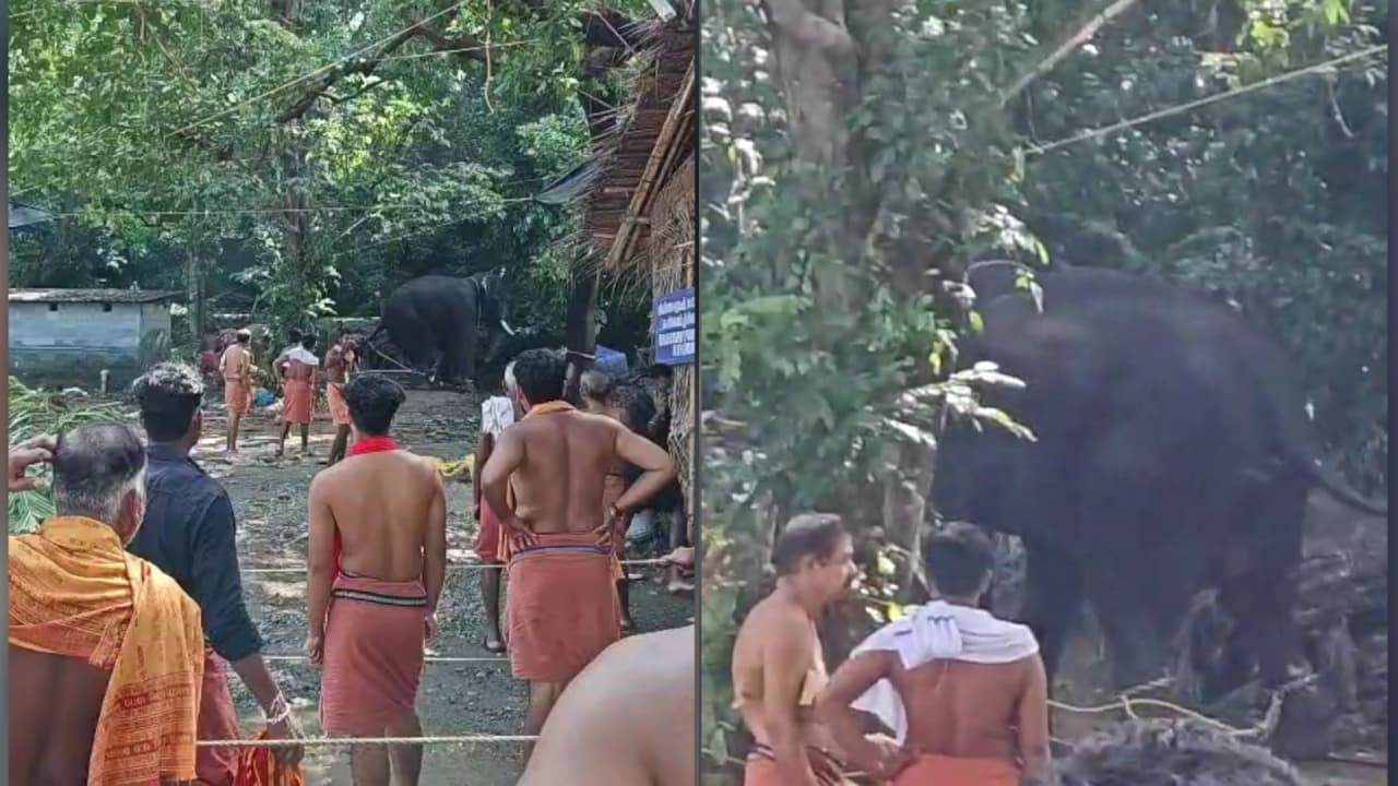 kottiyoor temple kottiyoor temple