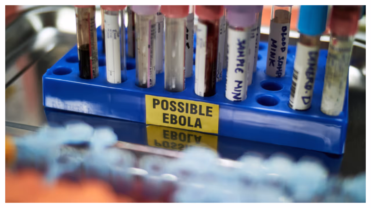 ebola ebola