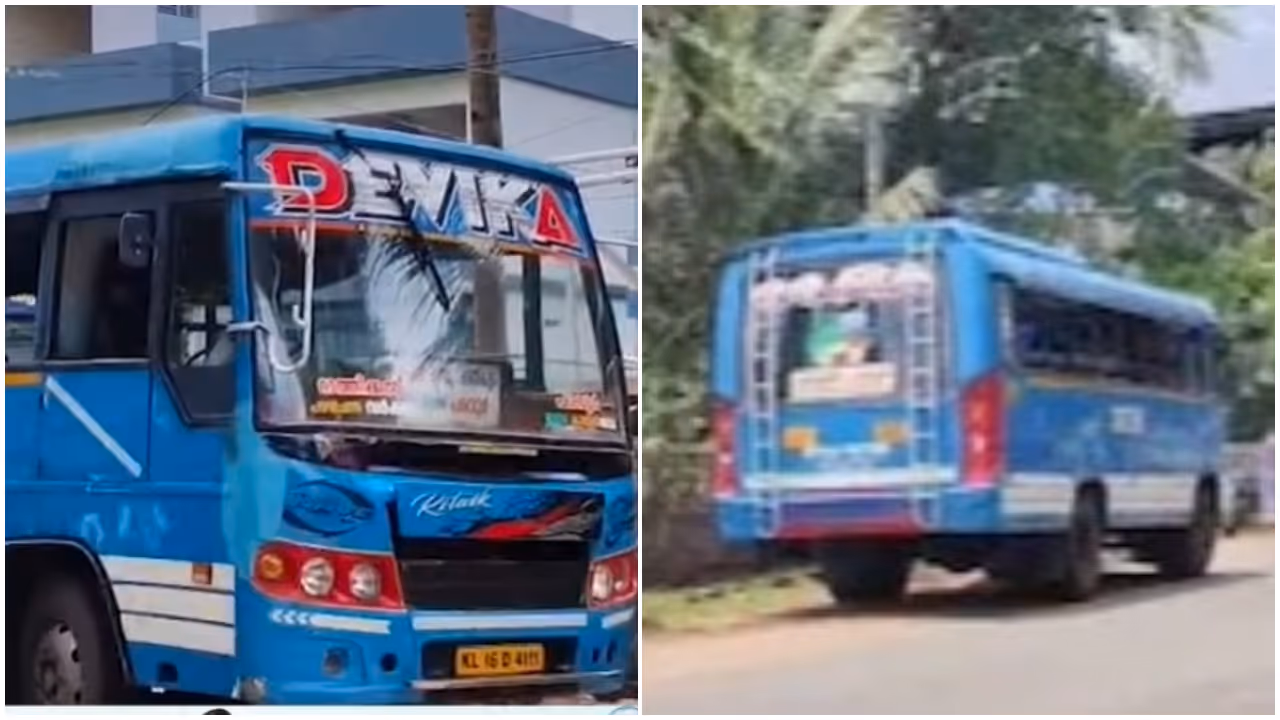 bus bus