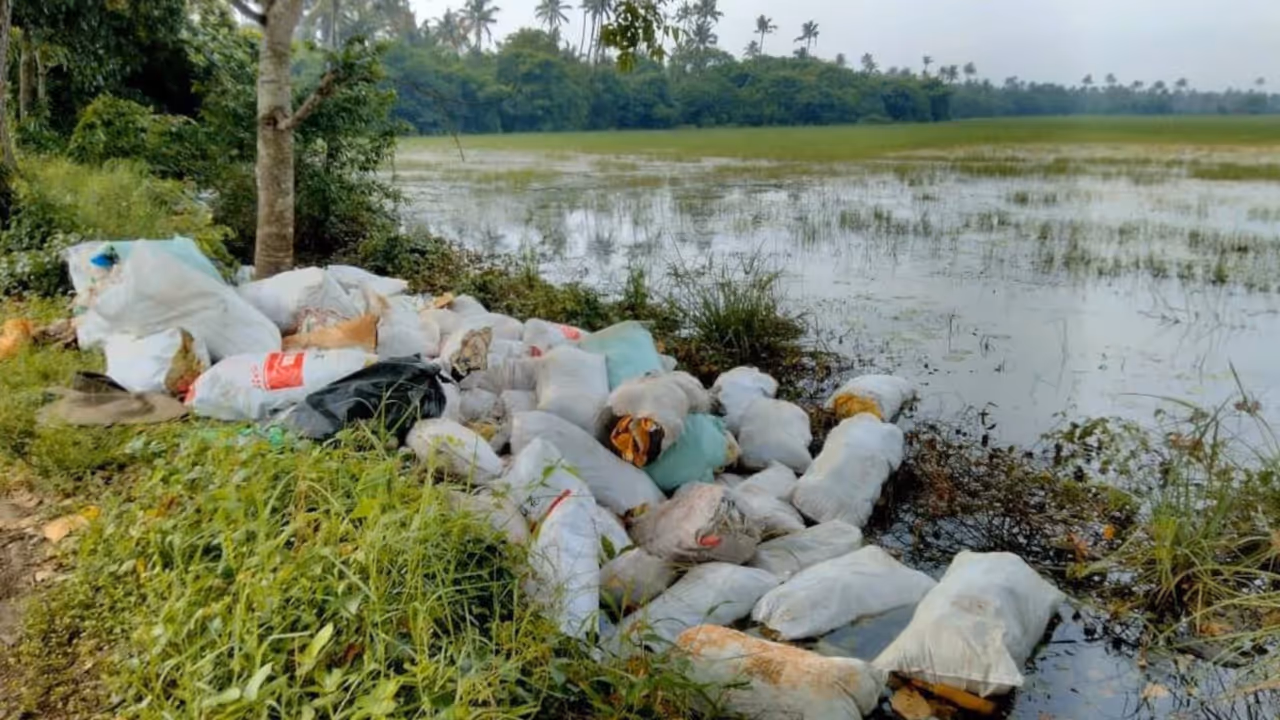 plastic waste paddy field plastic waste paddy field