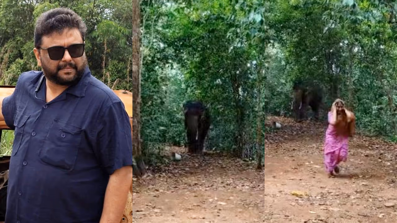 the elephant in lurk movie is not graphics but original director ma nishad reacts to reviewer shares location video the elephant in lurk movie is not graphics but original director ma nishad reacts to reviewer shares location video