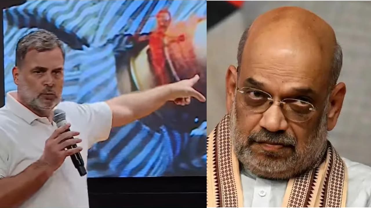 rahul gandhi, amit sha rahul gandhi, amit sha