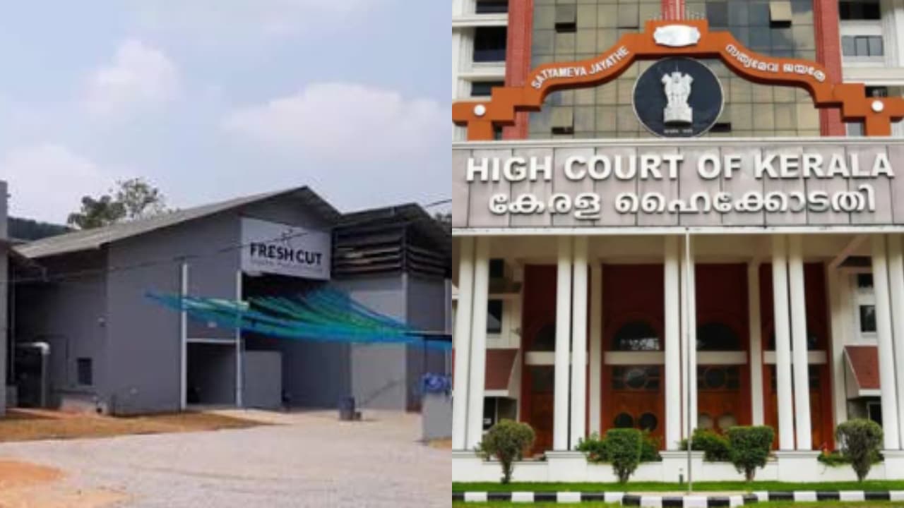 KERALA HC FRESH CUT KERALA HC FRESH CUT